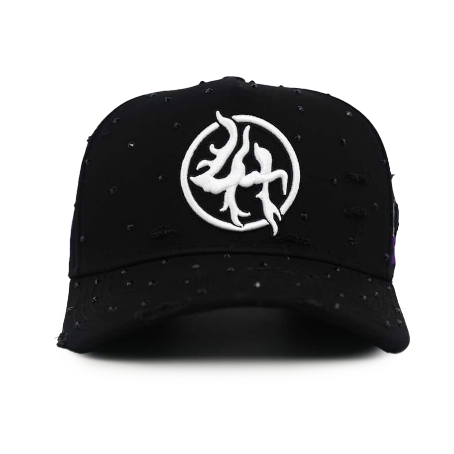 LHCS001 SNAP BACK
